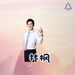林枫